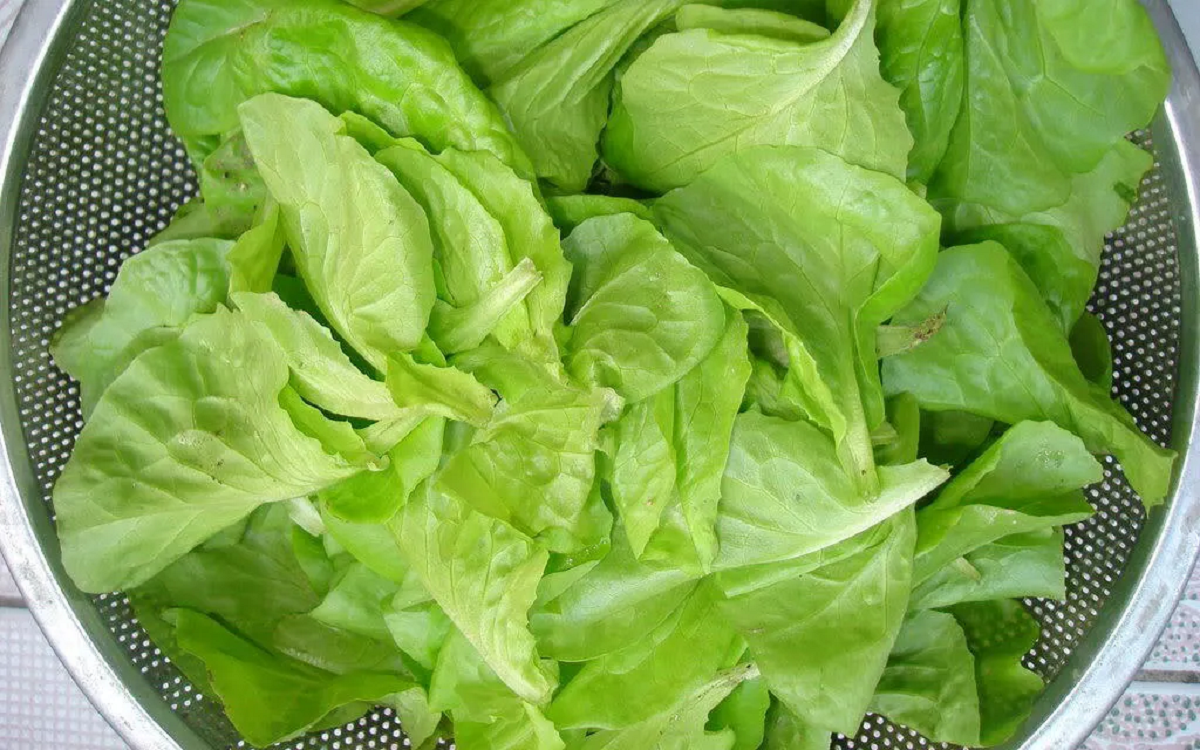 Việt Nam có loại rau được ca ngợi 