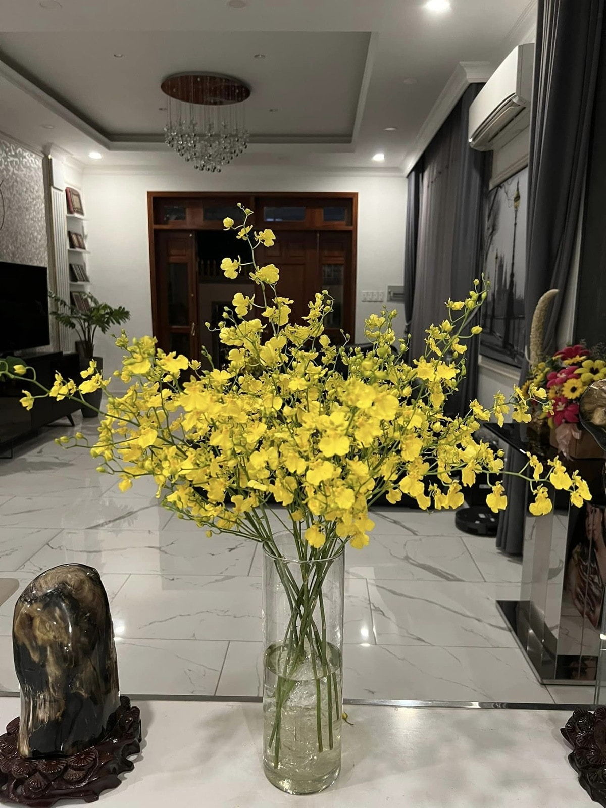 "Nữ ho&agrave;ng d&acirc;n ca" v&agrave; điều kỳ lạ trong khu vườn ở biệt thự triệu đ&ocirc;  - Ảnh 9.