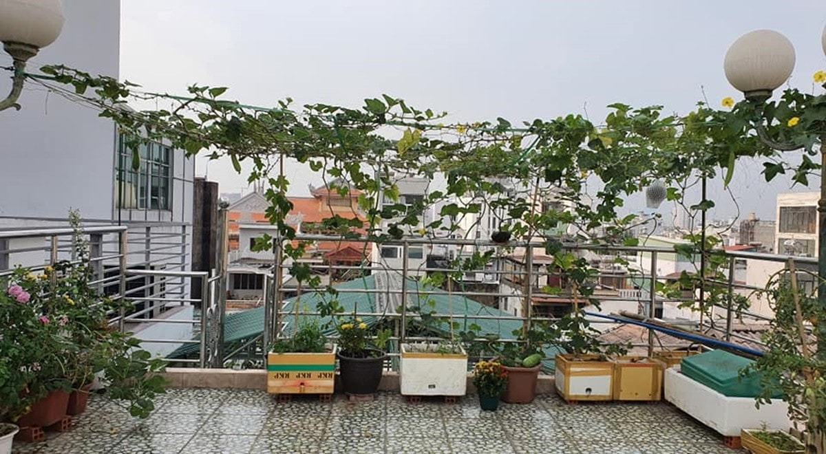 "Nữ ho&agrave;ng d&acirc;n ca" v&agrave; điều kỳ lạ trong khu vườn ở biệt thự triệu đ&ocirc;  - Ảnh 14.