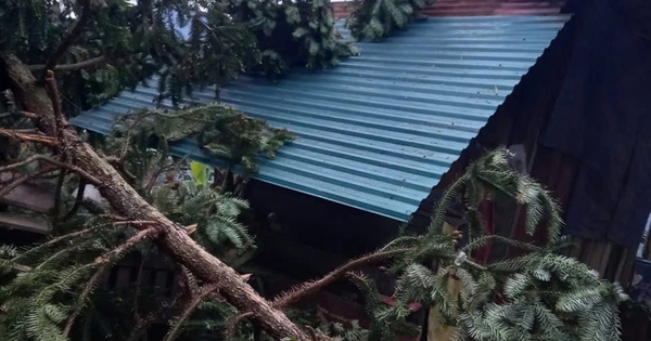 Mưa đá, giông lốc “càn quét” miền núi phía Bắc, hàng trăm mái nhà tốc mái, thiệt hại lan rộng - Ảnh 1.