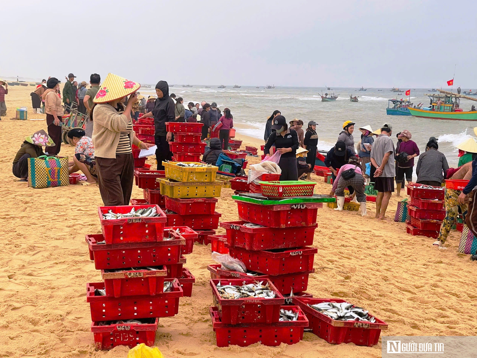Rộn ràng cảnh mua bán “lộc biển” ngay tại bờ sau một đêm đánh bắt - Ảnh 1.