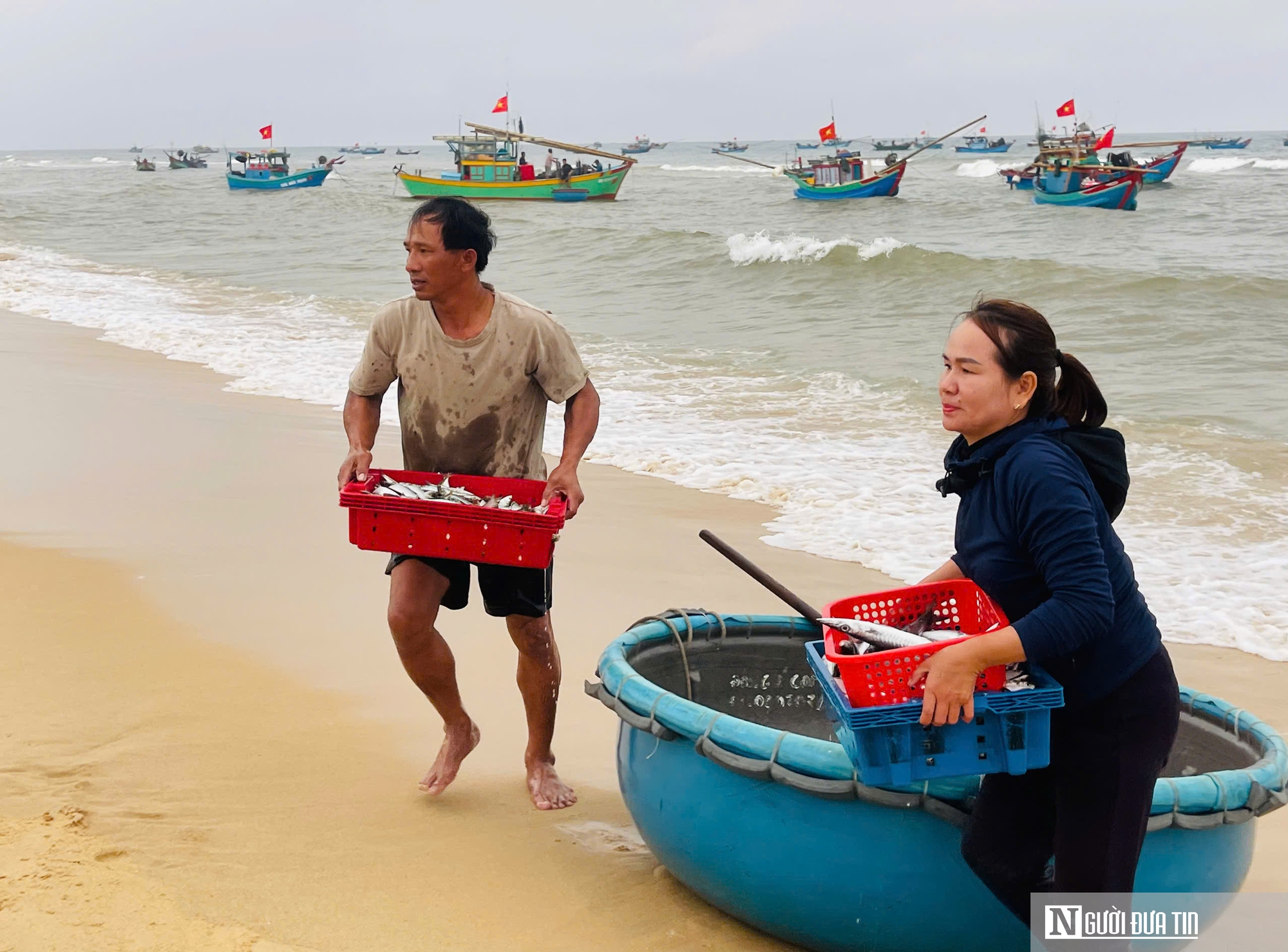 Rộn ràng cảnh mua bán “lộc biển” ngay tại bờ sau một đêm đánh bắt - Ảnh 2.