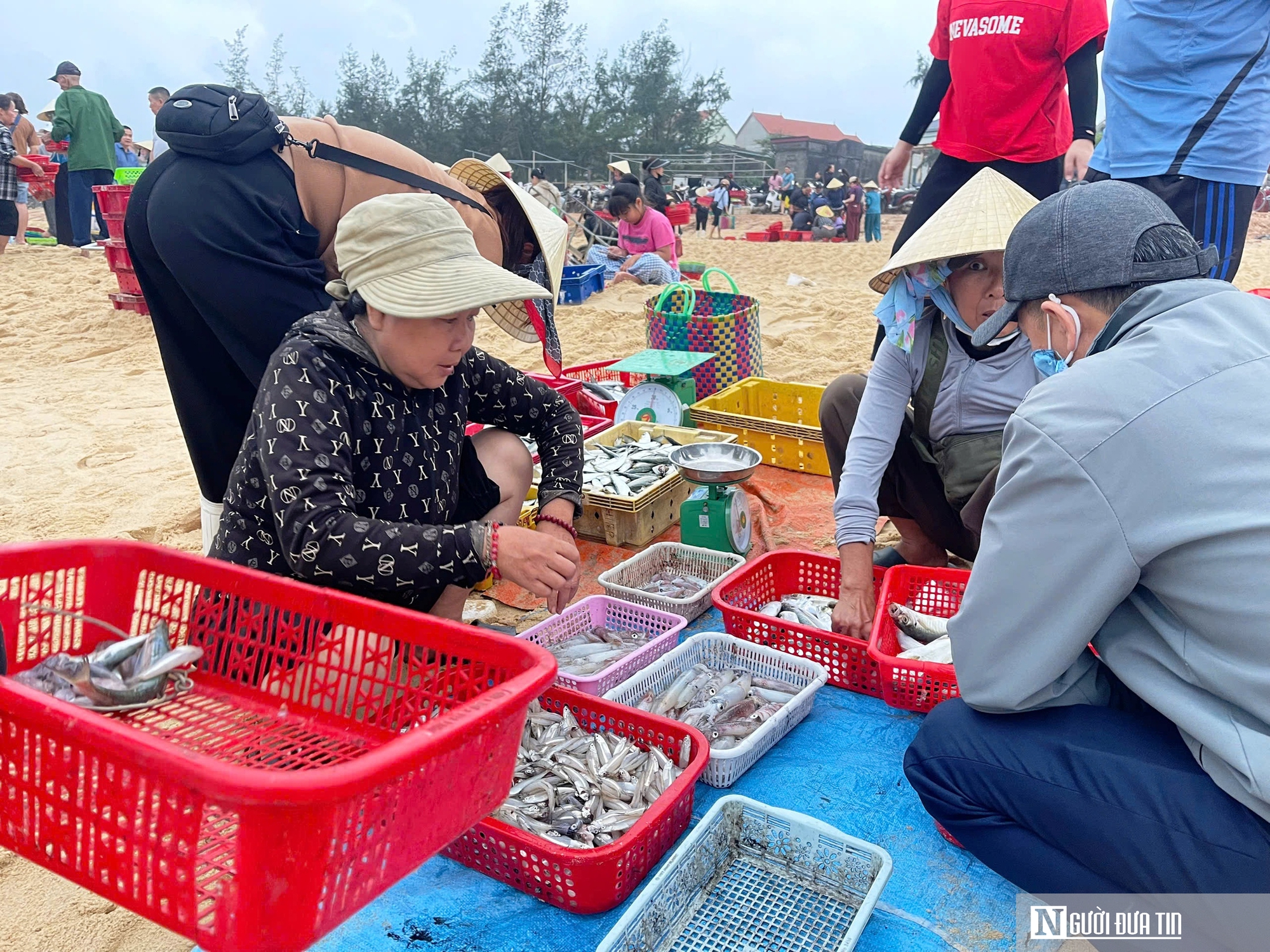 Rộn ràng cảnh mua bán “lộc biển” ngay tại bờ sau một đêm đánh bắt - Ảnh 8.