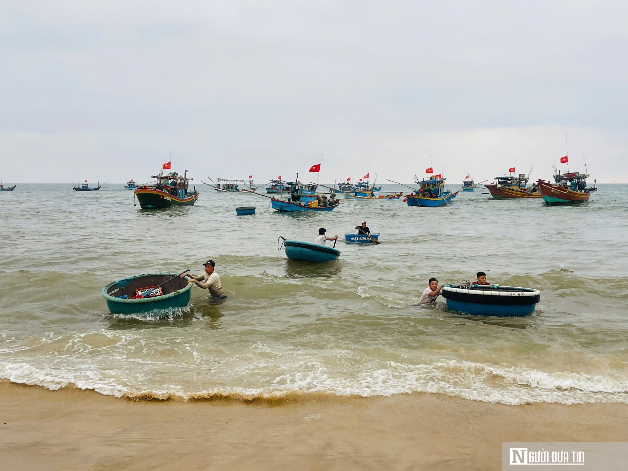 Rộn ràng cảnh mua bán “lộc biển” ngay tại bờ sau một đêm đánh bắt - Ảnh 14.