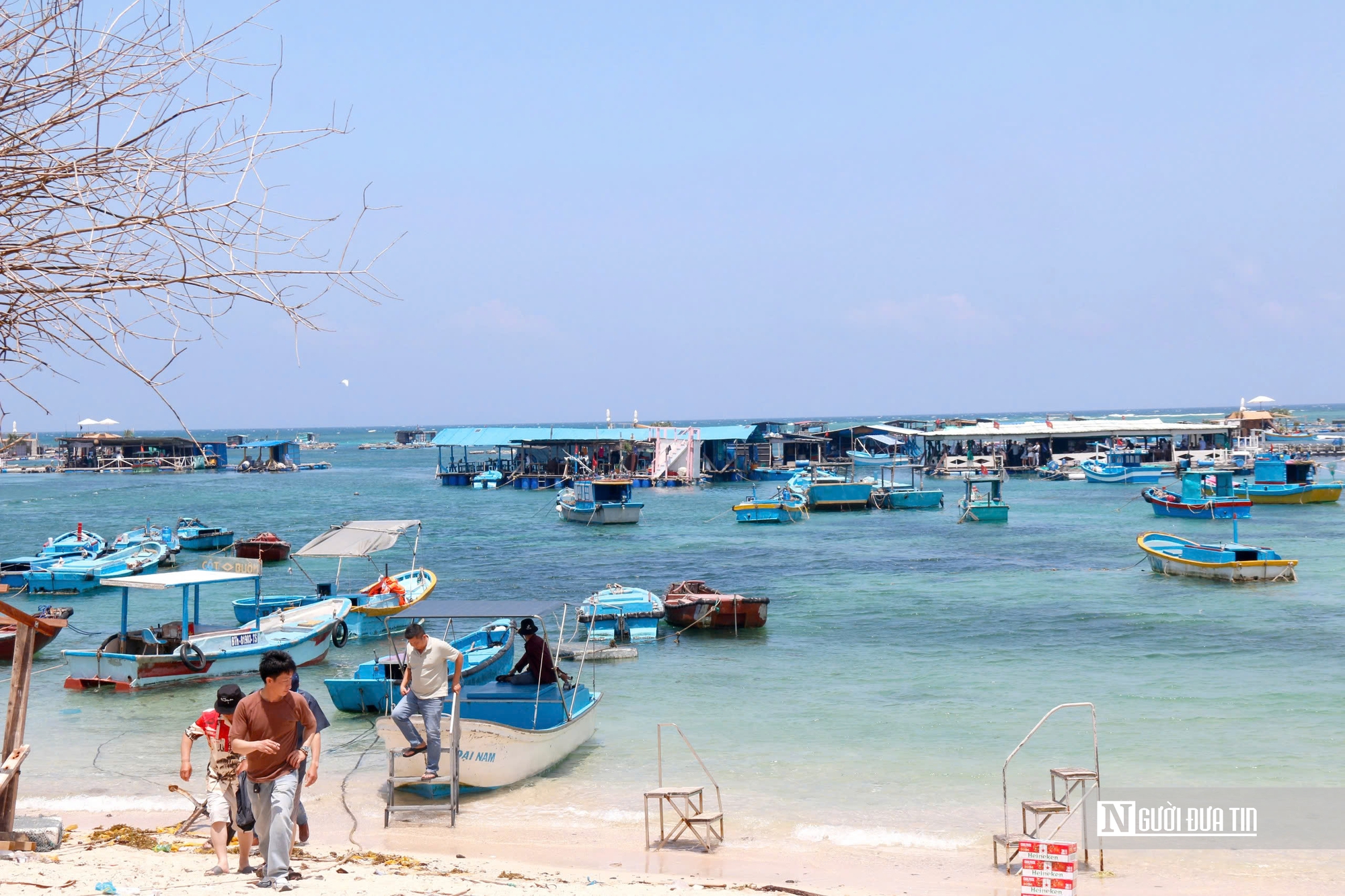 Từ đảo vắng thành điểm đến “triệu view”, Phú Quý đang có gì hấp dẫn?- Ảnh 2. Từ đảo vắng thành điểm đến “triệu view”, Phú Quý đang có gì hấp dẫn?- Ảnh 2.
