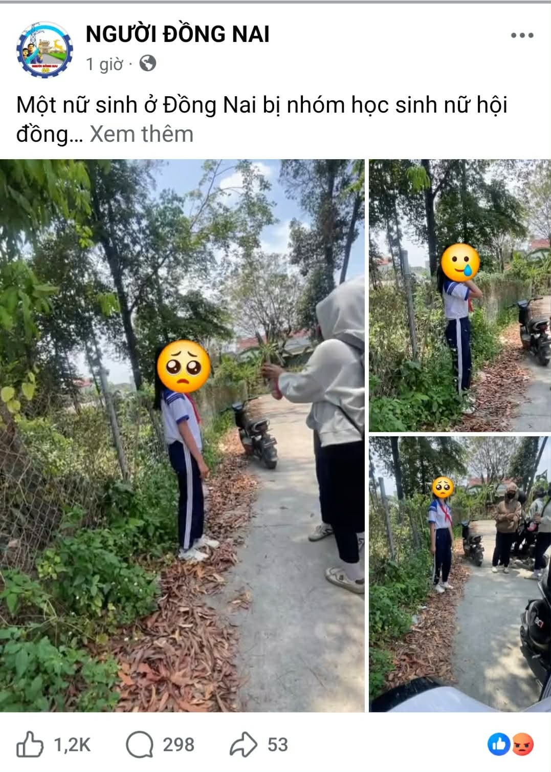 Đồng Nai: Xác minh vụ nhóm nữ sinh xô xát, clip lan truyền gây bức xúc - Ảnh 2.