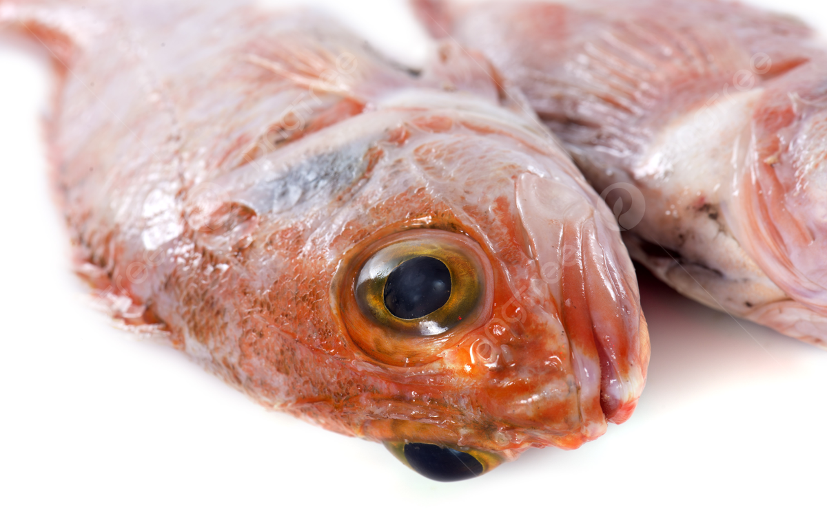 Đừng chỉ ăn quả, l&aacute; c&acirc;y n&agrave;y qu&yacute; như "nh&acirc;n s&acirc;m của người ngh&egrave;o", đang v&agrave;o m&ugrave;a đi chợ l&agrave; thấy  - Ảnh 4.