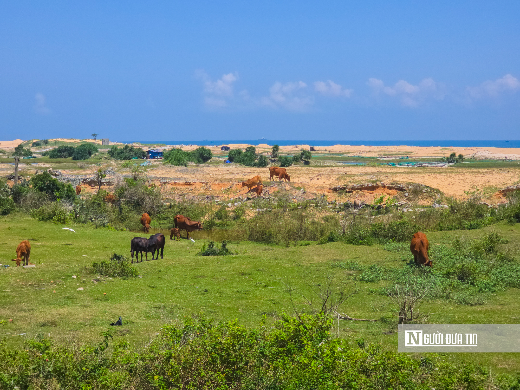Cận cảnh khu đất tại Đắk Lắk được đầu tư x&acirc;y dựng cảng biển v&agrave; khu kinh tế 120.000 tỷ đồng - Ảnh 7.