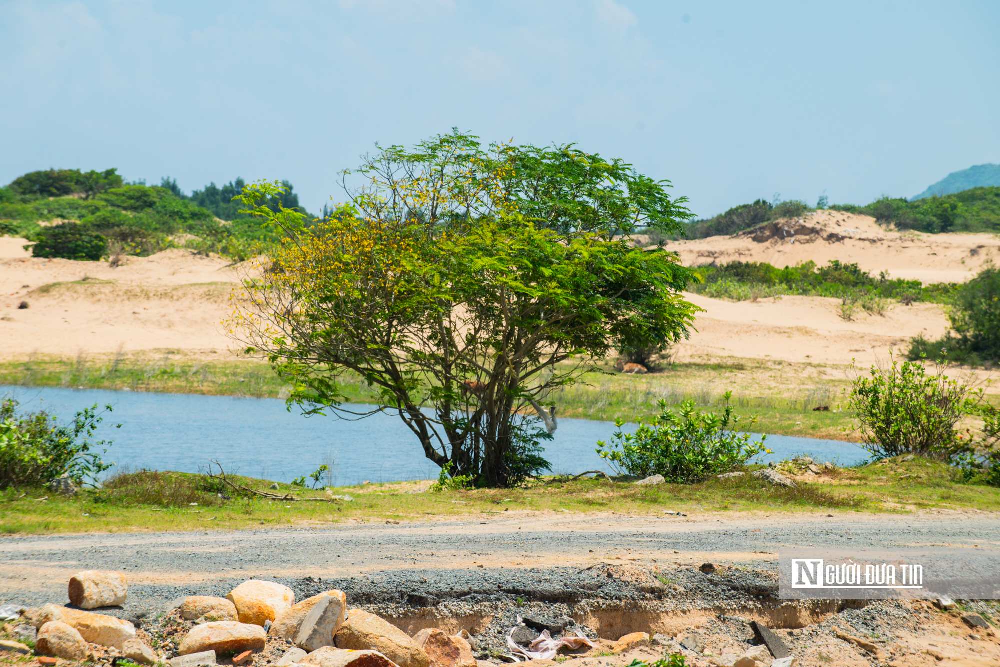Cận cảnh khu đất tại Đắk Lắk được đầu tư x&acirc;y dựng cảng biển v&agrave; khu kinh tế 120.000 tỷ đồng - Ảnh 10.