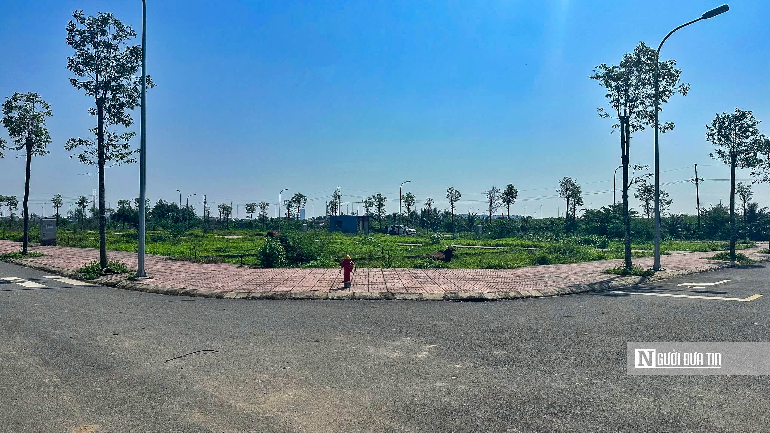 H&agrave; Nội: Khu đất từng khiến người d&acirc;n phải đấu gi&aacute; xuy&ecirc;n đ&ecirc;m giờ ra sao? - Ảnh 6.