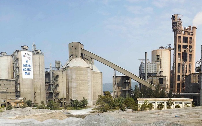 Vicem Hoàng Mai đặt mục tiêu lãi tăng 17% năm 2026 dù áp lực ngành gia tăng - Ảnh 1.