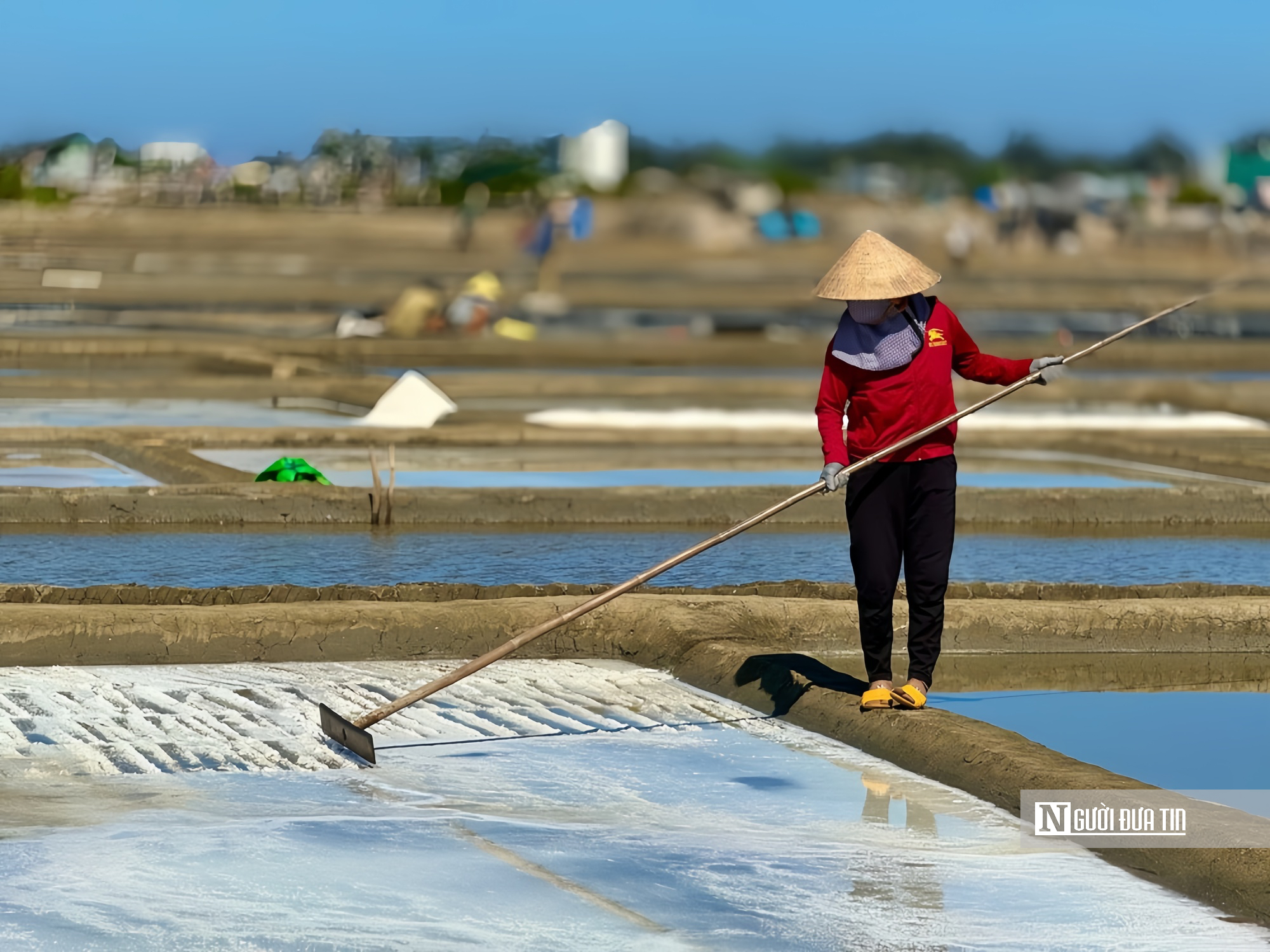 Gi&aacute; muối Quảng Ng&atilde;i tăng kỷ lục, di&ecirc;m d&acirc;n phấn khởi v&agrave;o vụ mới- Ảnh 3.