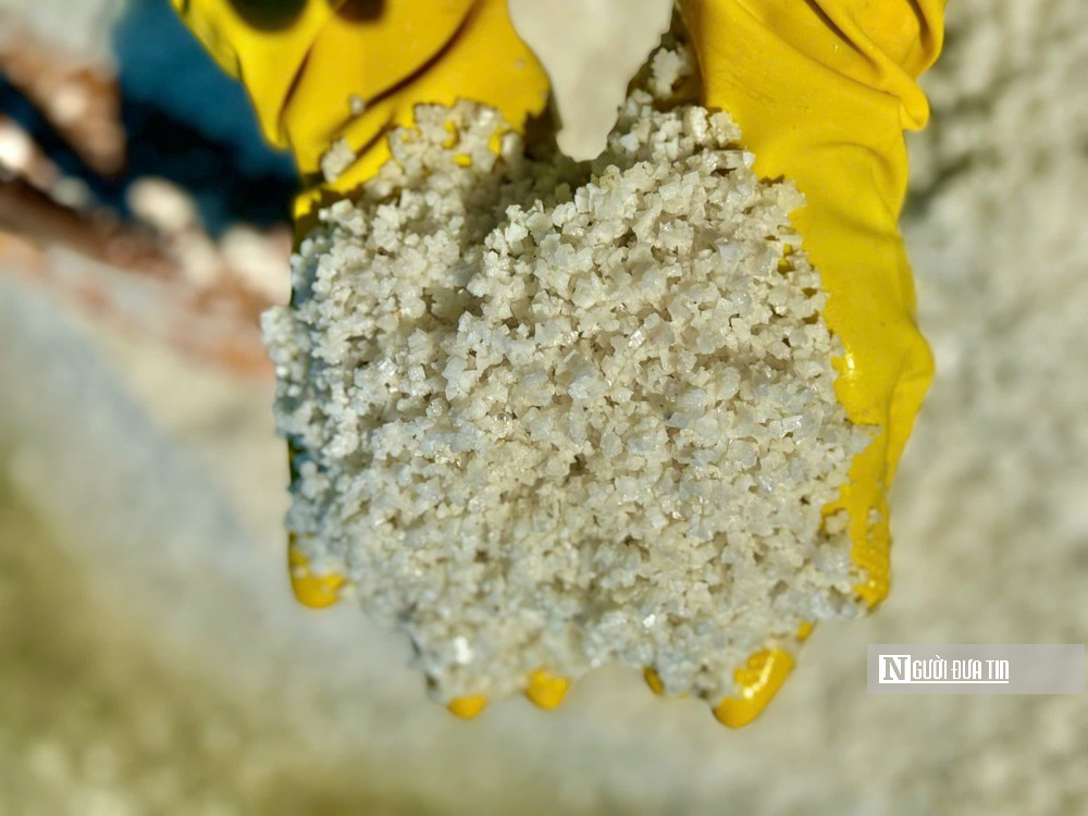 Gi&aacute; muối Quảng Ng&atilde;i tăng kỷ lục, di&ecirc;m d&acirc;n phấn khởi v&agrave;o vụ mới- Ảnh 4.
