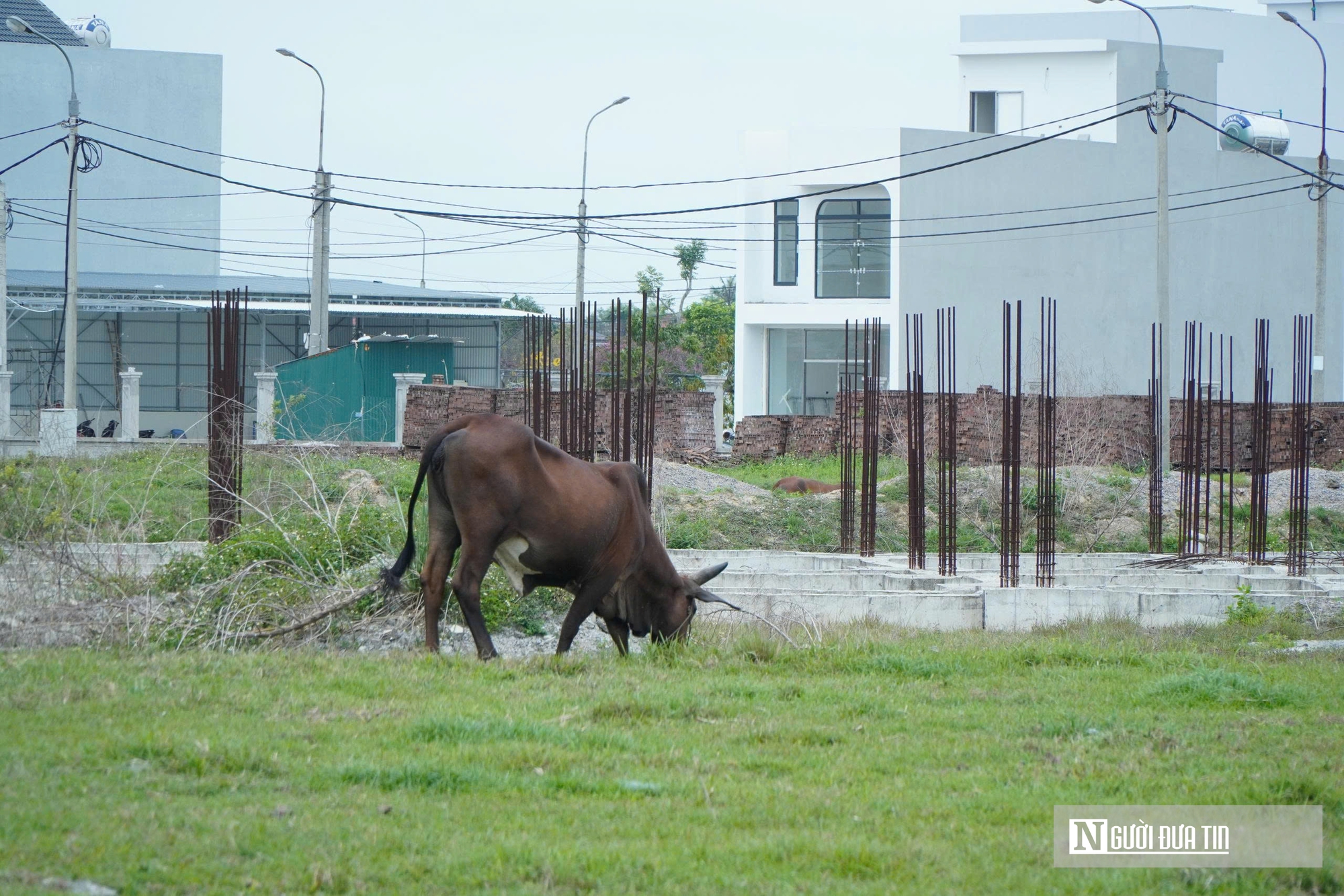 Thu hồi dự &aacute;n 670 tỷ đồng tr&ecirc;n đất v&agrave;ng "đắp chiếu" nhiều năm ở Thanh H&oacute;a   - Ảnh 8.