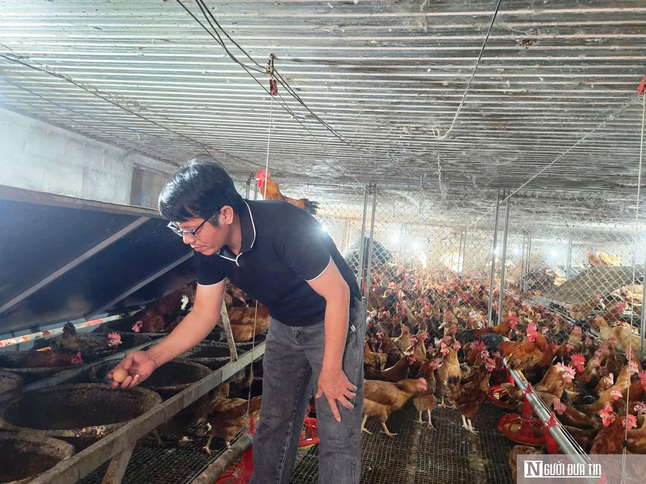 Lương vài chục triệu, bác sĩ thú y vẫn bỏ việc về mở trang trại thu gần 9 tỷ mỗi năm- Ảnh 1.