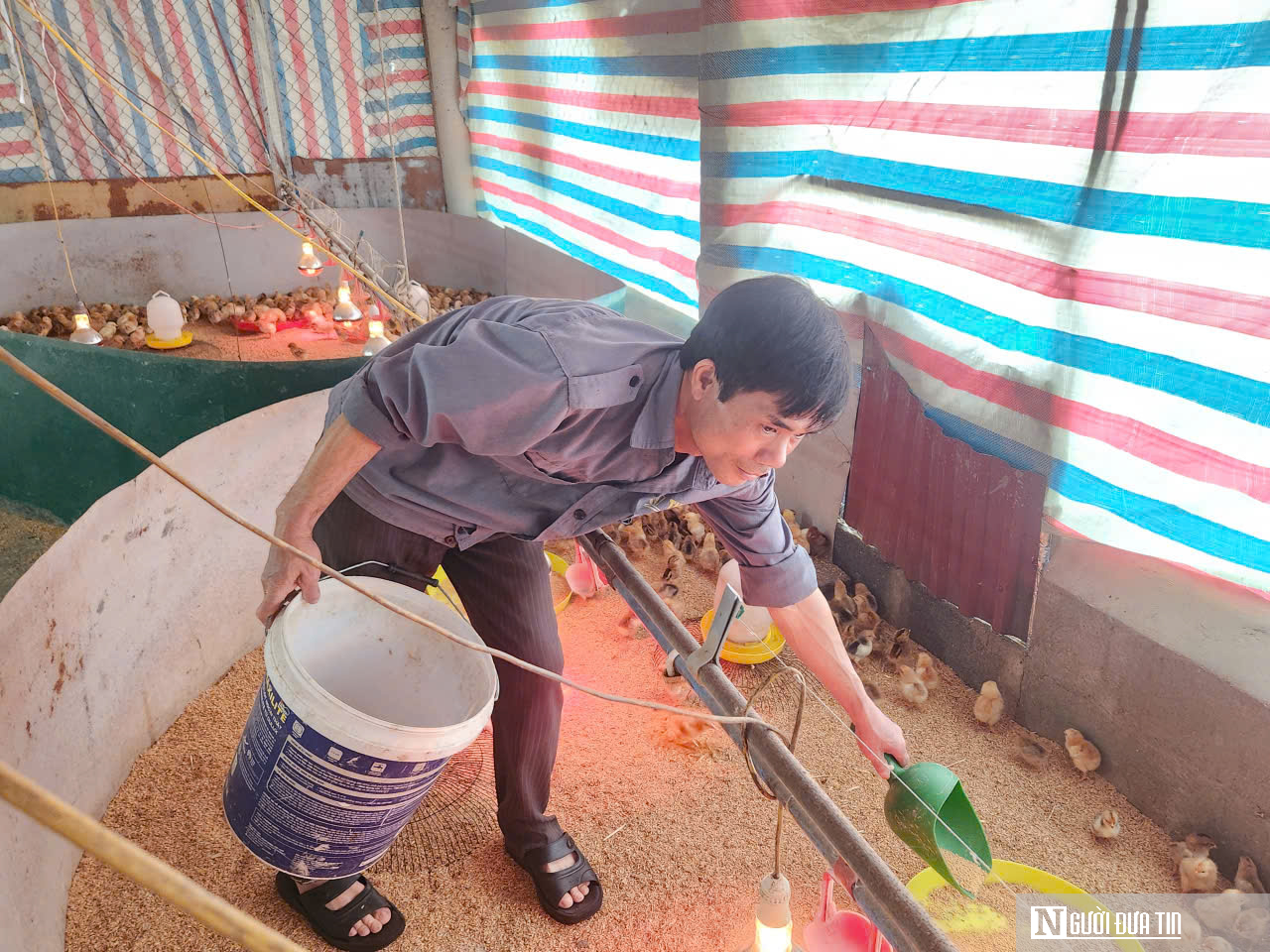 Lương vài chục triệu, bác sĩ thú y vẫn bỏ việc về mở trang trại thu gần 9 tỷ mỗi năm- Ảnh 5.