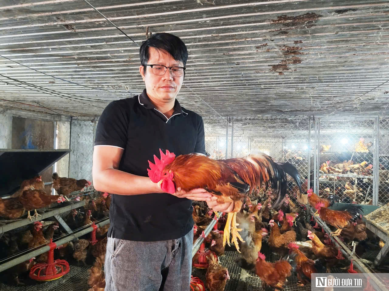 Lương vài chục triệu, bác sĩ thú y vẫn bỏ việc về mở trang trại thu gần 9 tỷ mỗi năm- Ảnh 2.