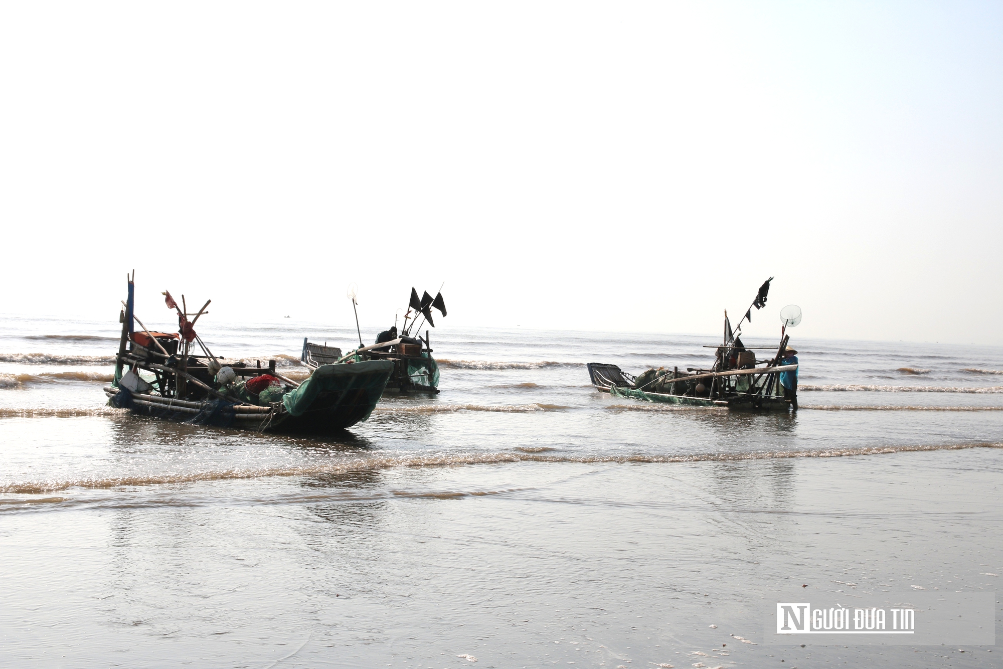 Săn "lộc biển", ngư dân bỏ túi vài triệu mỗi ngày- Ảnh 1. Săn "lộc biển", ngư dân bỏ túi vài triệu mỗi ngày- Ảnh 1.