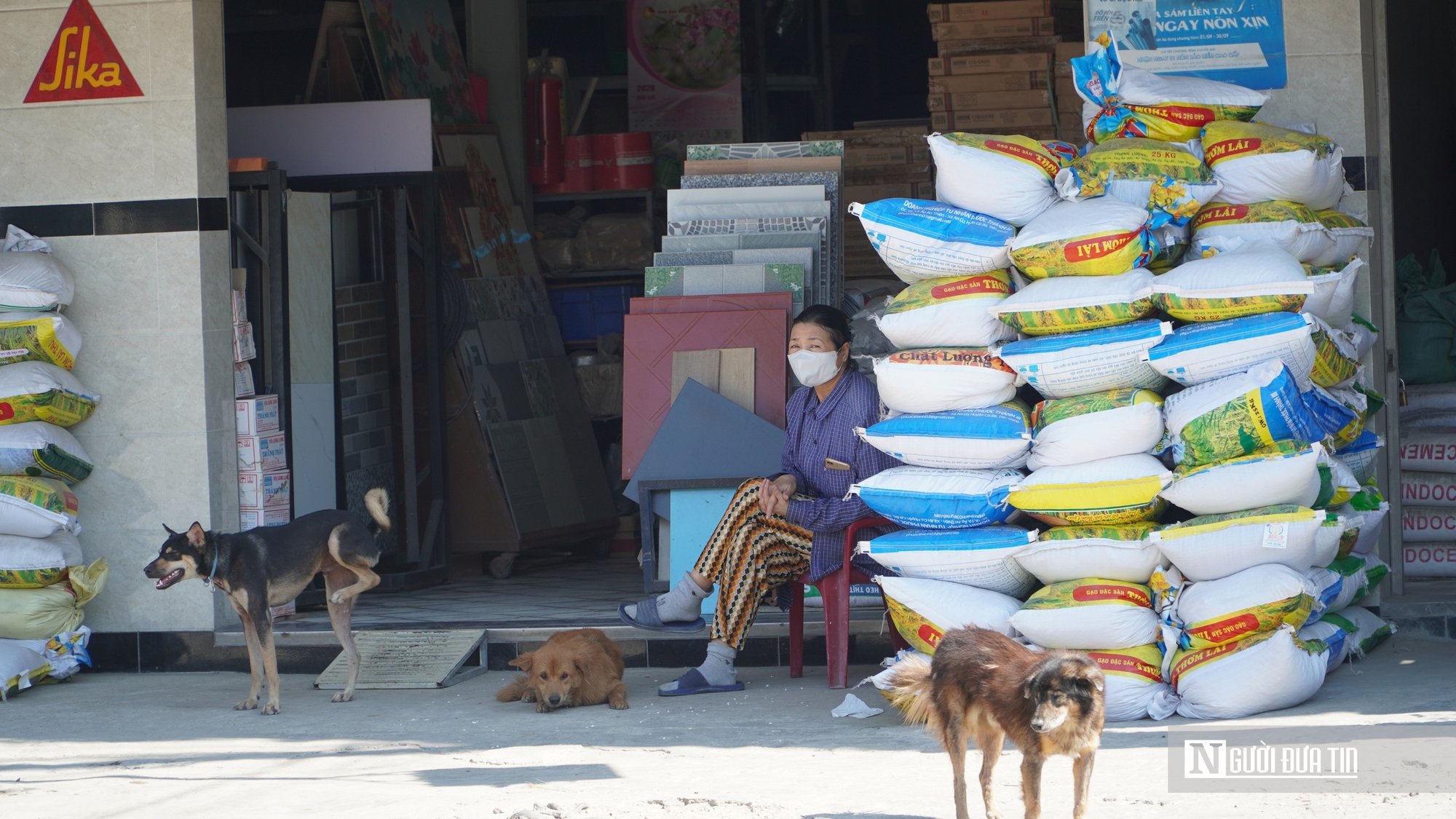 Bụi m&ugrave; mịt, d&acirc;n &ldquo;chịu trận&rdquo;, nh&agrave; thầu ngừng thi c&ocirc;ng, l&atilde;nh đạo tỉnh L&acirc;m Đồng v&agrave;o cuộc- Ảnh 2.