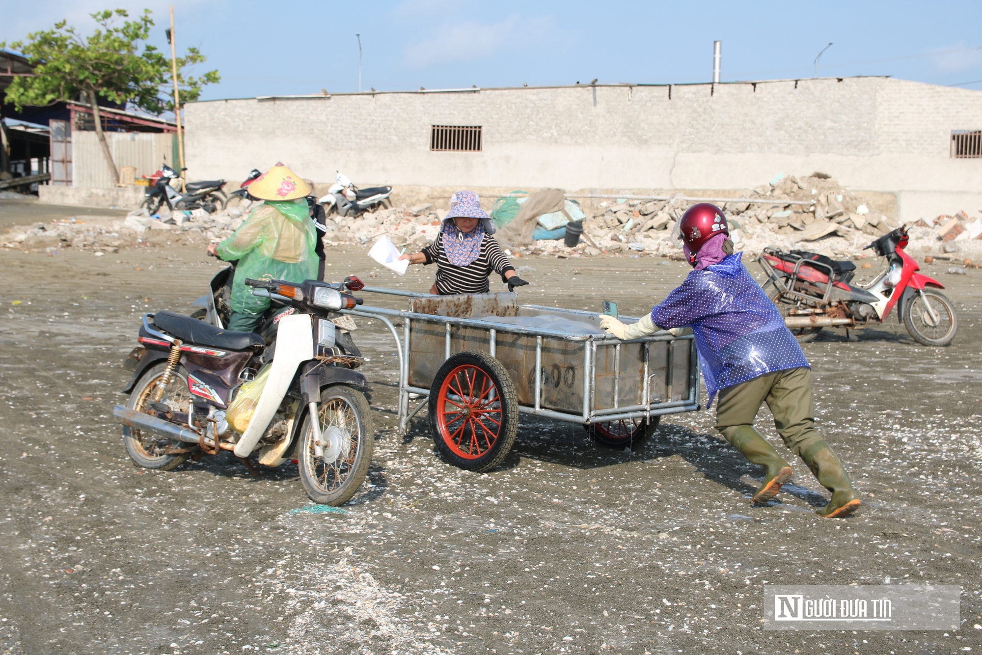 Săn "lộc biển", ngư dân bỏ túi vài triệu mỗi ngày- Ảnh 7. Săn "lộc biển", ngư dân bỏ túi vài triệu mỗi ngày- Ảnh 7.