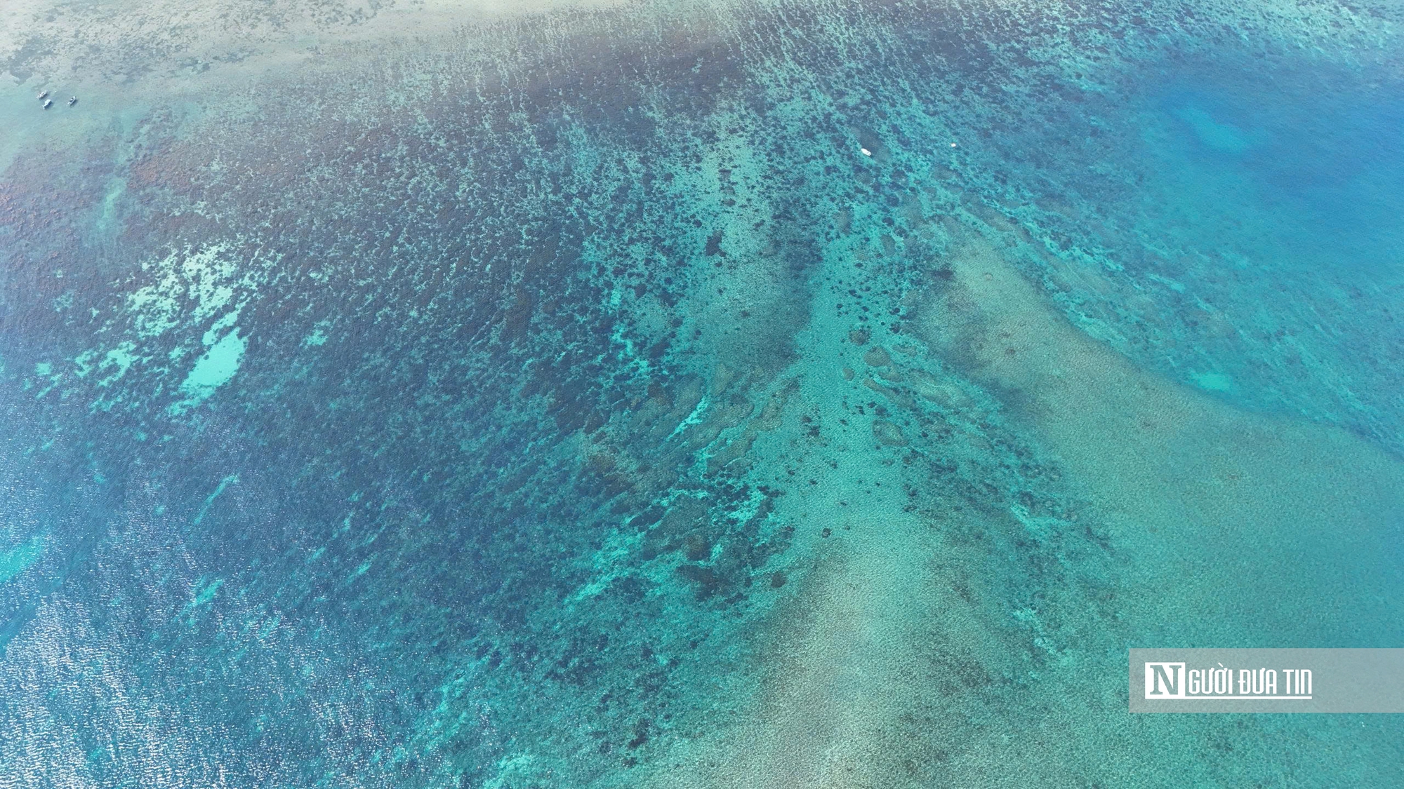 Cận cảnh đảo nhỏ được Quảng Ng&atilde;i nghi&ecirc;n cứu tour lặn biển, ngắm san h&ocirc;- Ảnh 8.