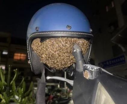 Để mũ bảo hiểm tr&ecirc;n xe, người phụ nữ sốc nặng khi thấy cảnh đ&aacute;ng sợ - Ảnh 1.