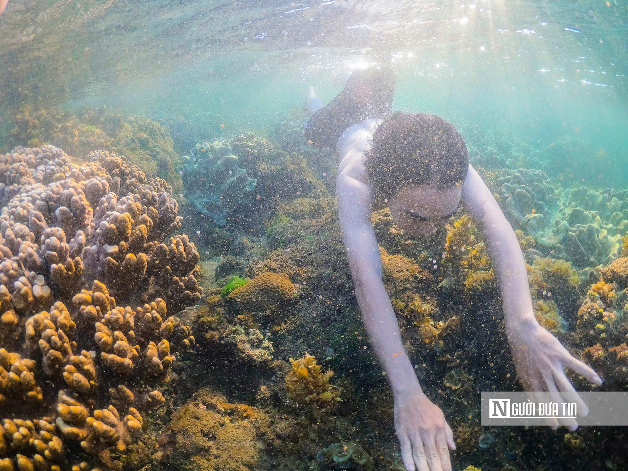 Ngắm vẻ đẹp hiếm c&oacute; của H&ograve;n Yến, nơi chẳng cần lặn biển vẫn c&oacute; thể ngắm san h&ocirc;- Ảnh 17.
