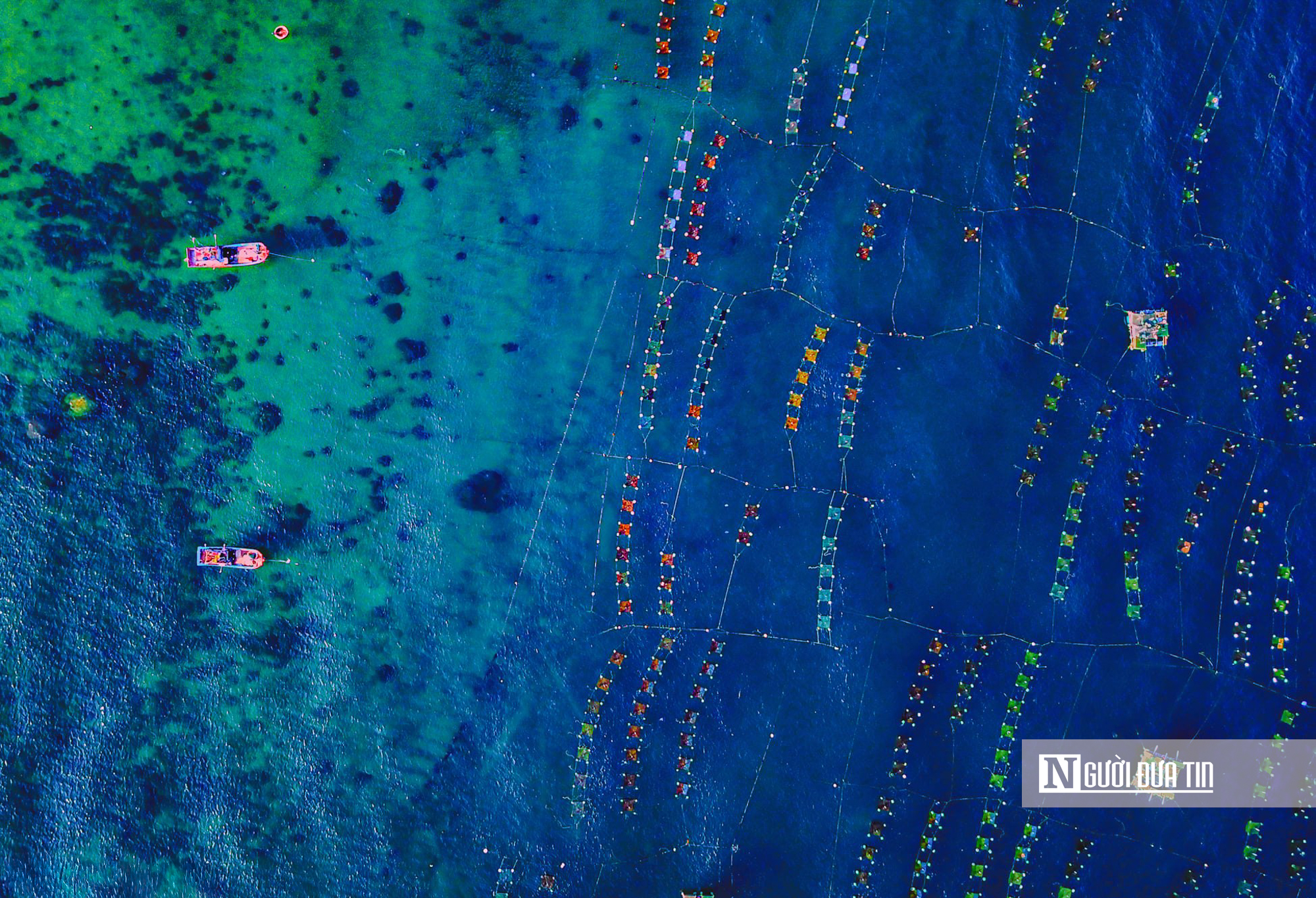 Ngắm vẻ đẹp hiếm c&oacute; của H&ograve;n Yến, nơi chẳng cần lặn biển vẫn c&oacute; thể ngắm san h&ocirc;- Ảnh 19.