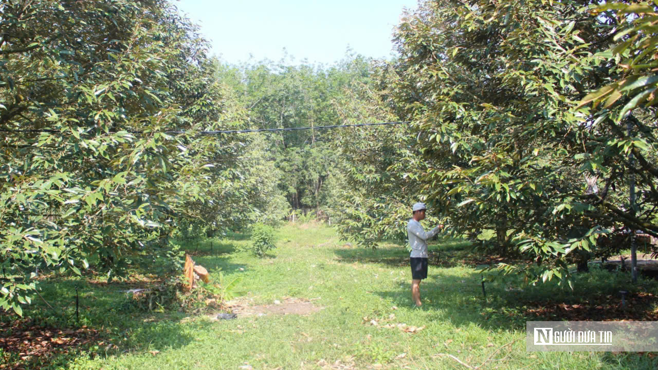 Từ lầm lỡ đến &ldquo;triệu ph&uacute; n&ocirc;ng d&acirc;n&rdquo;: H&agrave;nh tr&igrave;nh bước ra khỏi b&oacute;ng tối bằng mồ h&ocirc;i v&agrave; niềm tin- Ảnh 1.