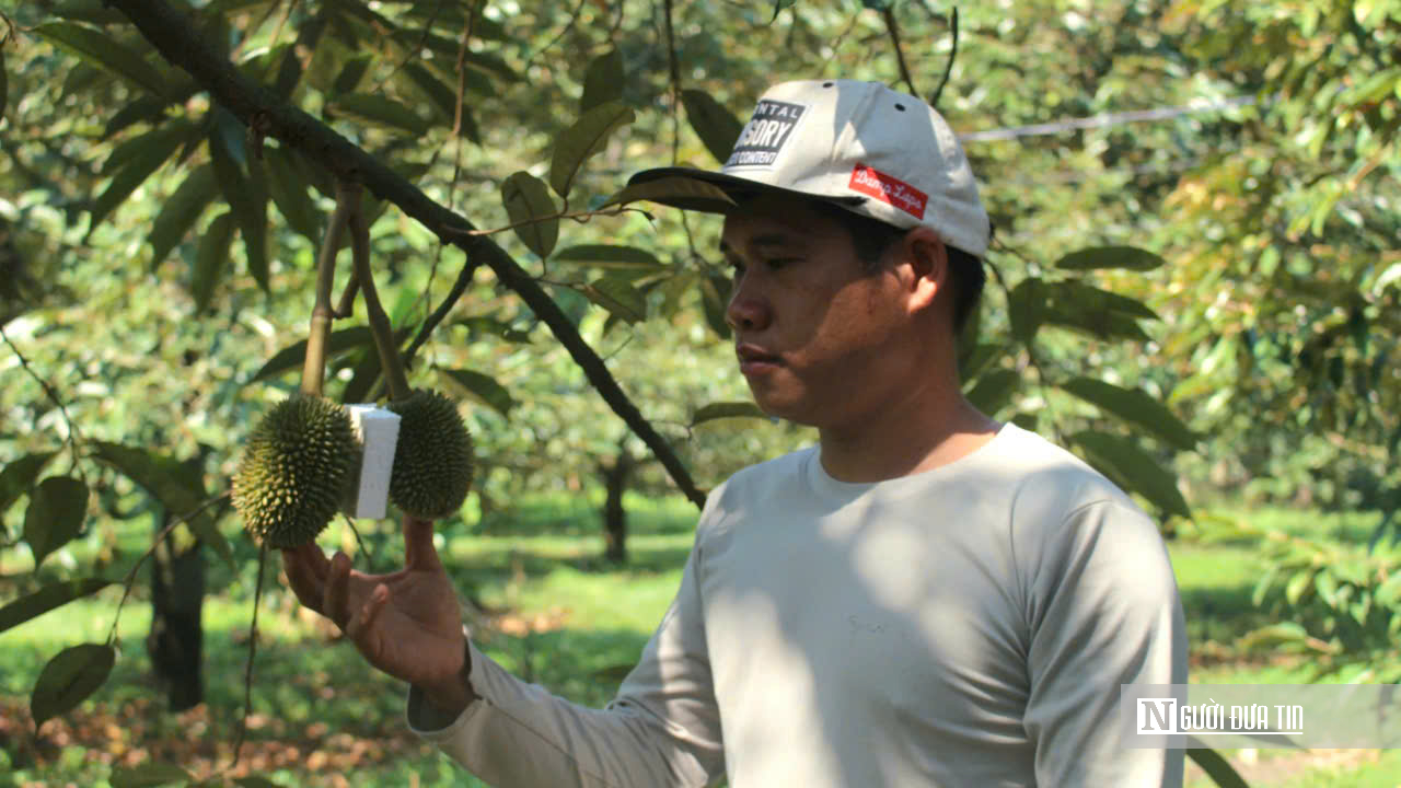 Từ lầm lỡ đến &ldquo;triệu ph&uacute; n&ocirc;ng d&acirc;n&rdquo;: H&agrave;nh tr&igrave;nh bước ra khỏi b&oacute;ng tối bằng mồ h&ocirc;i v&agrave; niềm tin- Ảnh 4.