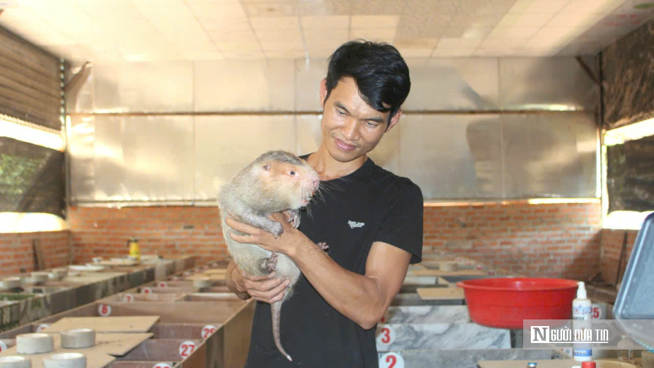 Từ lầm lỡ đến &ldquo;triệu ph&uacute; n&ocirc;ng d&acirc;n&rdquo;: H&agrave;nh tr&igrave;nh bước ra khỏi b&oacute;ng tối bằng mồ h&ocirc;i v&agrave; niềm tin- Ảnh 5.