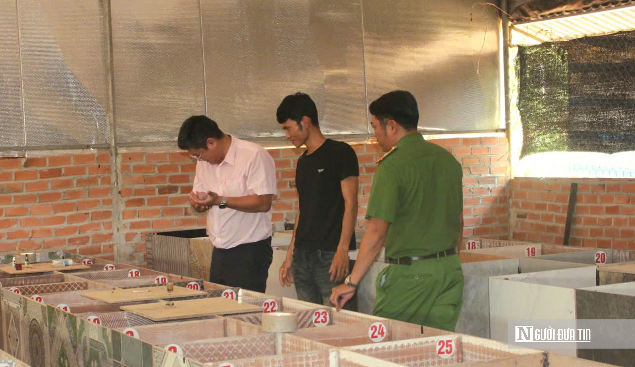 Từ lầm lỡ đến &ldquo;triệu ph&uacute; n&ocirc;ng d&acirc;n&rdquo;: H&agrave;nh tr&igrave;nh bước ra khỏi b&oacute;ng tối bằng mồ h&ocirc;i v&agrave; niềm tin- Ảnh 6.