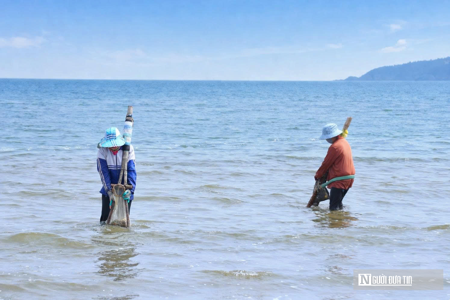 Cận cảnh nhọc nhằn nghề khom lưng trong s&oacute;ng biển kiếm ngao mưu sinh- Ảnh 2.
