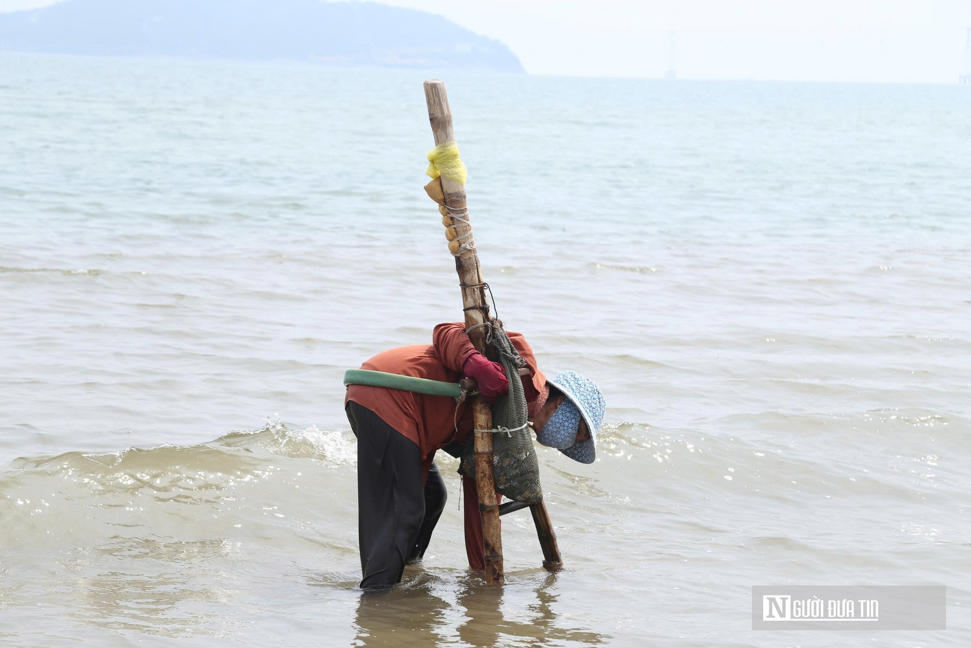 Cận cảnh nhọc nhằn nghề khom lưng trong s&oacute;ng biển kiếm ngao mưu sinh- Ảnh 3.