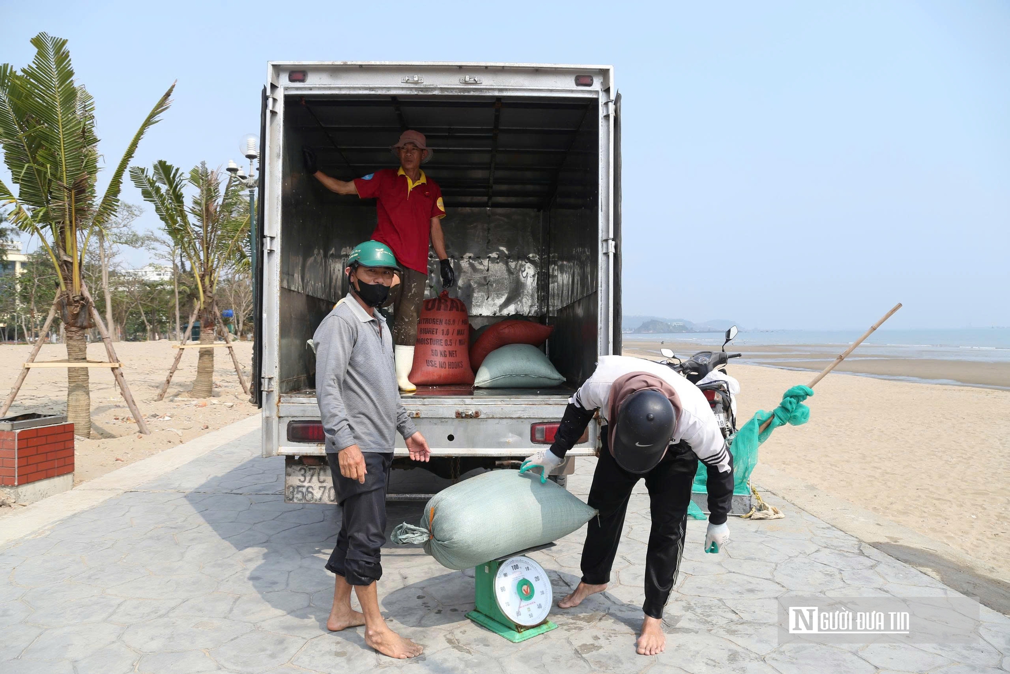Cận cảnh nhọc nhằn nghề khom lưng trong s&oacute;ng biển kiếm ngao mưu sinh- Ảnh 10.