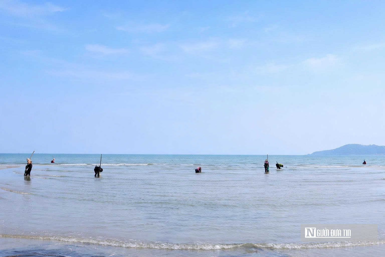 Cận cảnh nhọc nhằn nghề khom lưng trong s&oacute;ng biển kiếm ngao mưu sinh- Ảnh 12.