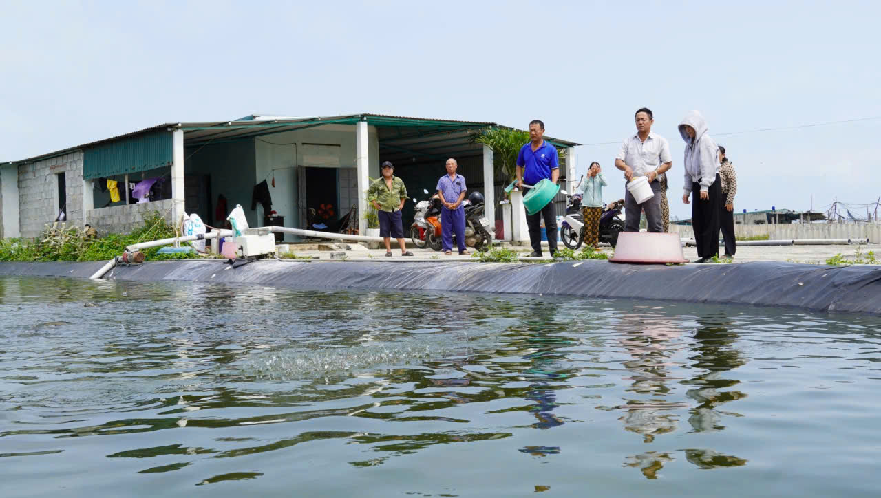 Chưa kịp “đổi đời” đã ôm khoản nợ tiền tỷ vì nuôi tôm- Ảnh 3.