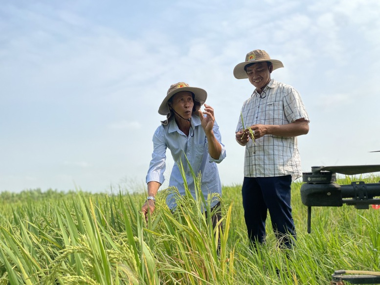 Bộ NN&MT xây dựng kịch bản sản xuất trước tình hình xung đột Trung Đông- Ảnh 1.