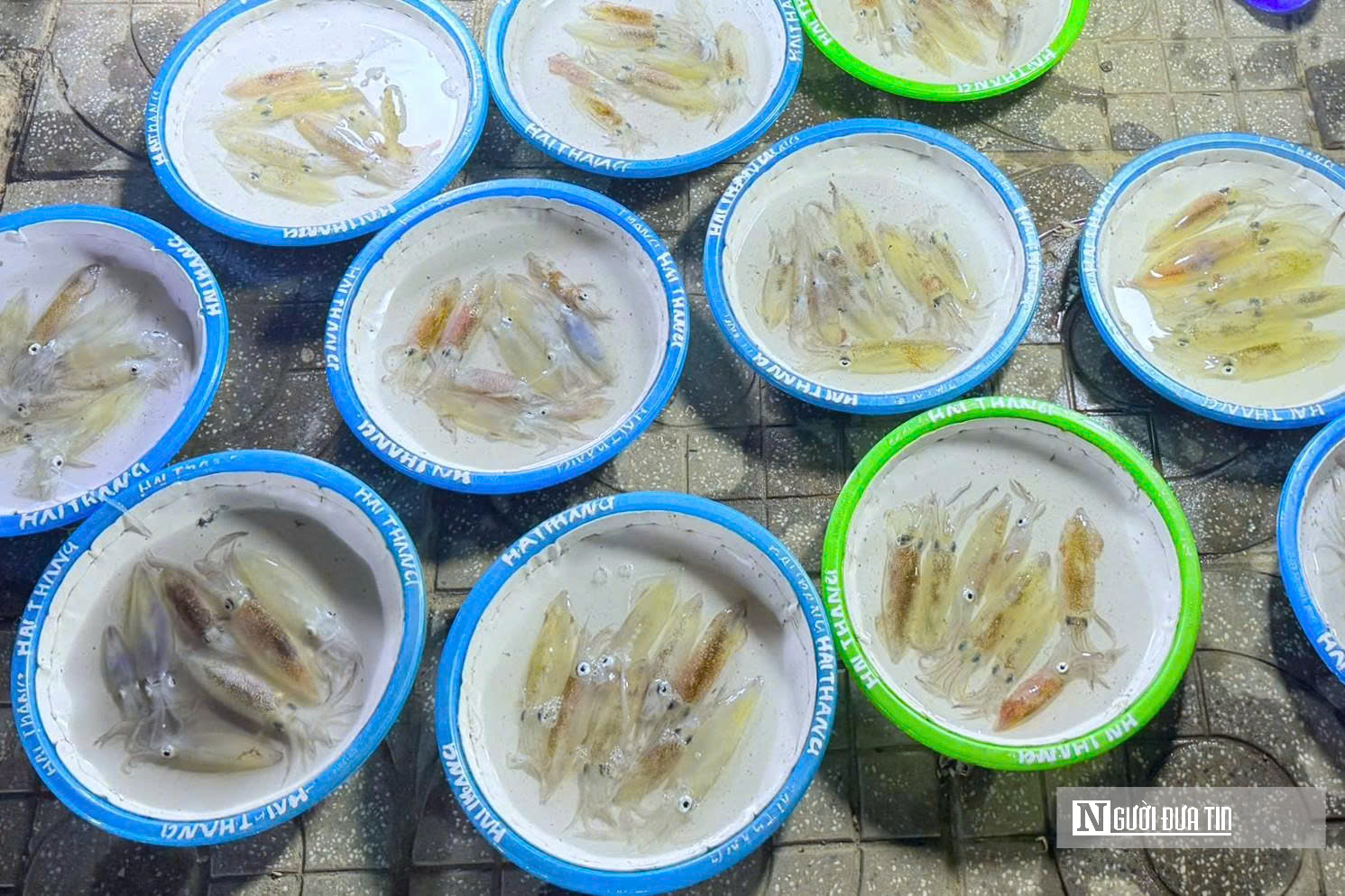 Độc đ&aacute;o phi&ecirc;n chợ đ&ecirc;m b&aacute;n duy nhất một đặc sản h&uacute;t kh&aacute;ch ở xứ Nghệ- Ảnh 4.