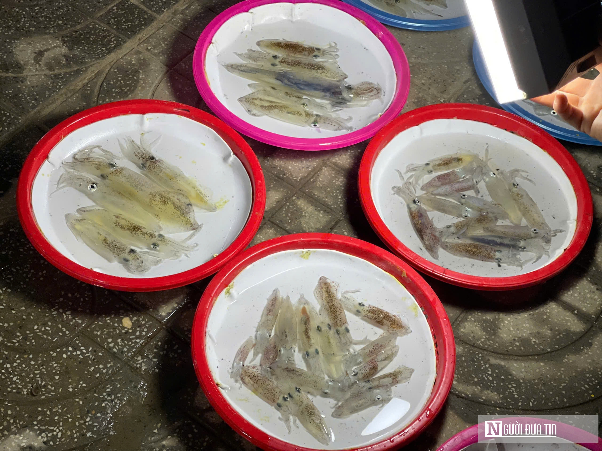 Độc đ&aacute;o phi&ecirc;n chợ đ&ecirc;m b&aacute;n duy nhất một đặc sản h&uacute;t kh&aacute;ch ở xứ Nghệ- Ảnh 5.