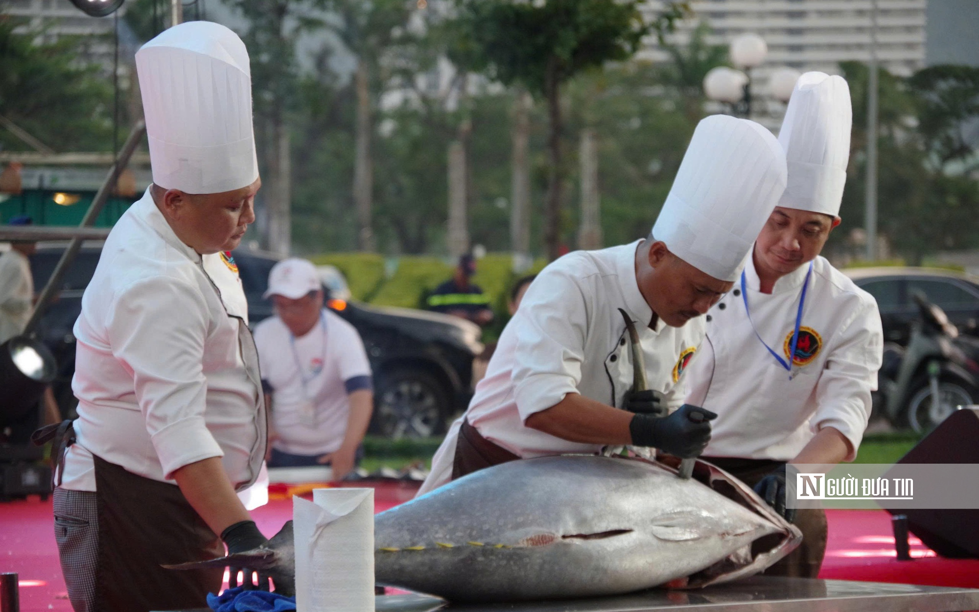 Gia Lai: Ph&aacute;t triển du lịch đ&ecirc;m, đưa di sản văn h&oacute;a "chạm" đến du kh&aacute;ch- Ảnh 8.