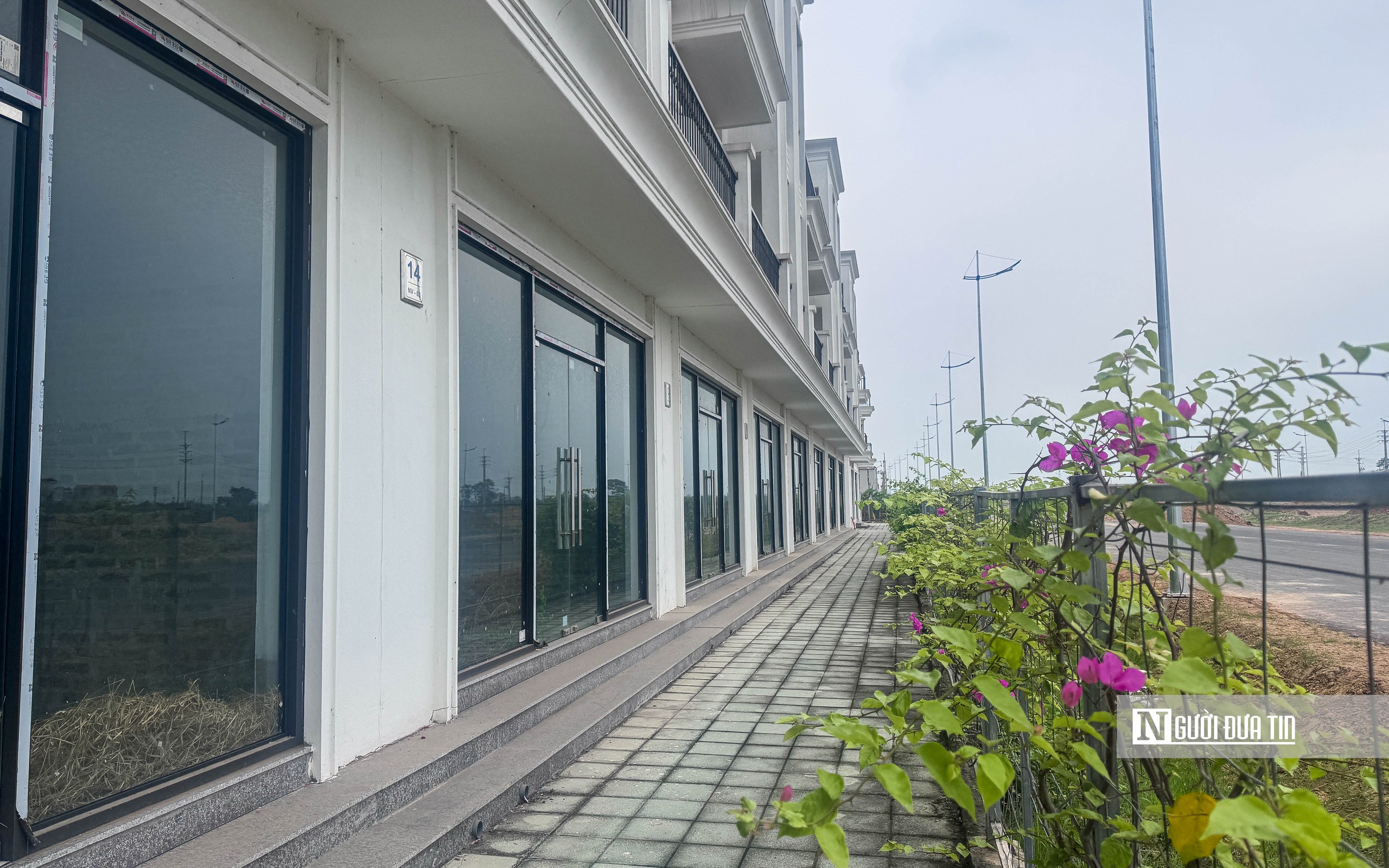 Hà Nội: Cỏ mọc bên trong hàng trăm biệt thự cạnh đường Vành đai 4- Ảnh 5. Hà Nội: Cỏ mọc bên trong hàng trăm biệt thự cạnh đường Vành đai 4- Ảnh 5.