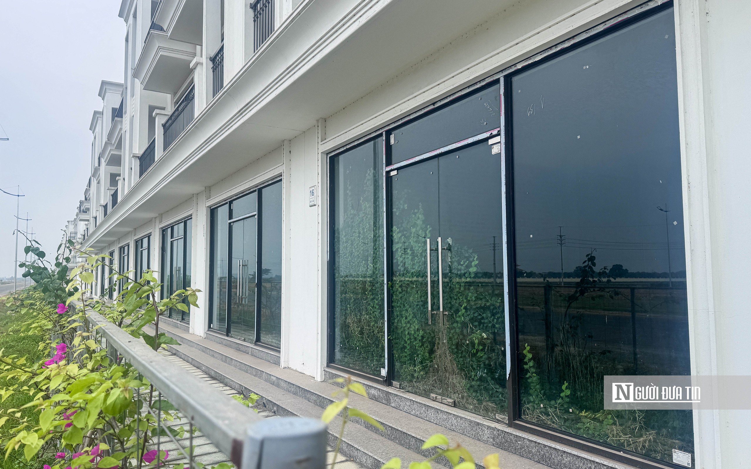 Hà Nội: Cỏ mọc bên trong hàng trăm biệt thự cạnh đường Vành đai 4- Ảnh 6. Hà Nội: Cỏ mọc bên trong hàng trăm biệt thự cạnh đường Vành đai 4- Ảnh 6.