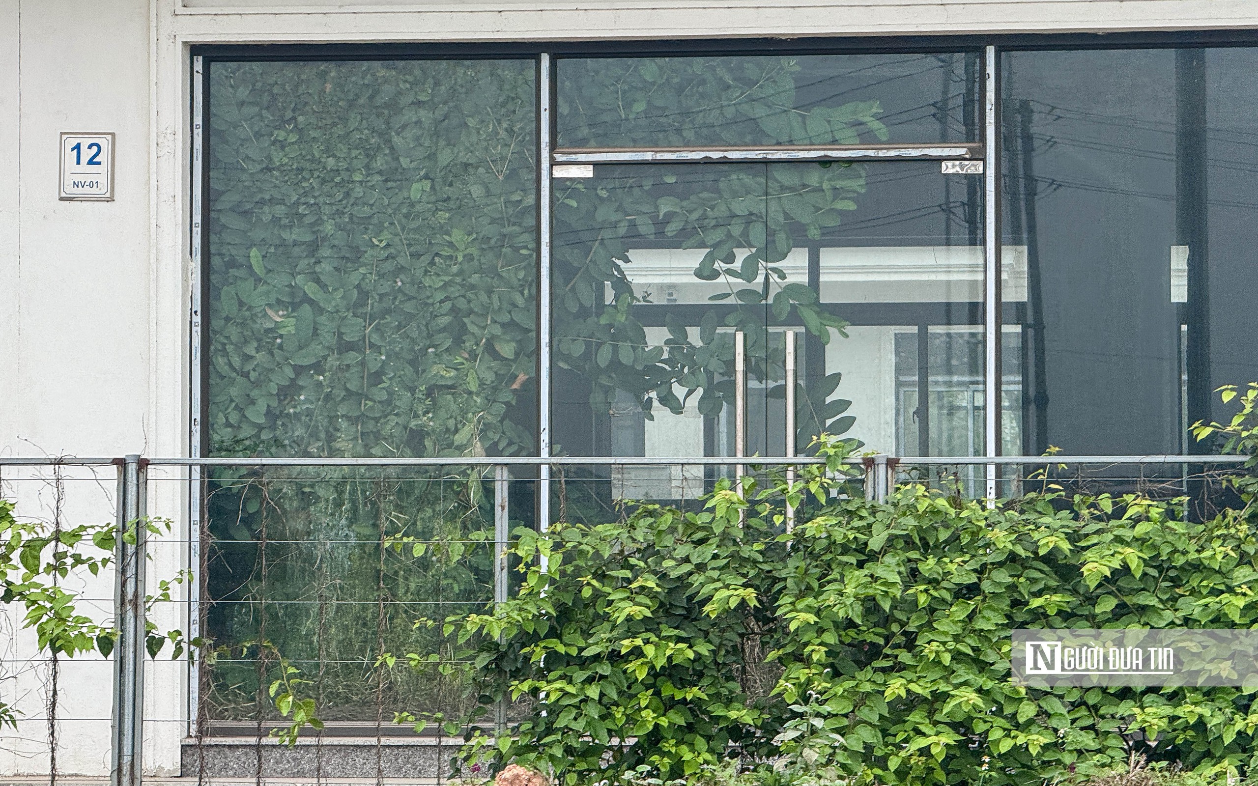 Hà Nội: Cỏ mọc bên trong hàng trăm biệt thự cạnh đường Vành đai 4- Ảnh 7. Hà Nội: Cỏ mọc bên trong hàng trăm biệt thự cạnh đường Vành đai 4- Ảnh 7.