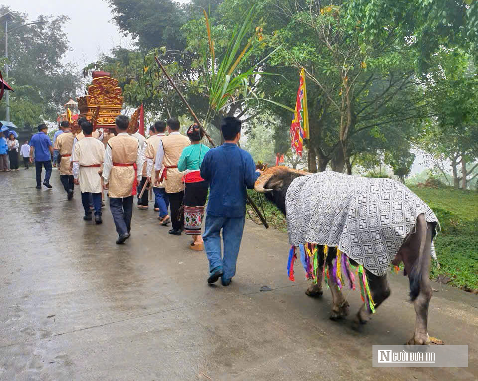 Về đền Ch&iacute;n Gian xem nghi lễ d&acirc;ng tr&acirc;u tế trời, kết nối ch&iacute;n mường người Th&aacute;i xứ Thanh  - Ảnh 4.