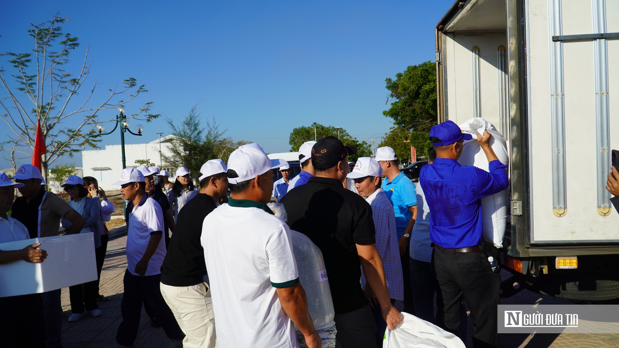 Thả 1,4 triệu con giống từ biển Hòn Cau đến hồ Tà Đùng, chung tay “hồi sinh” nguồn lợi thủy sản - Ảnh 2.