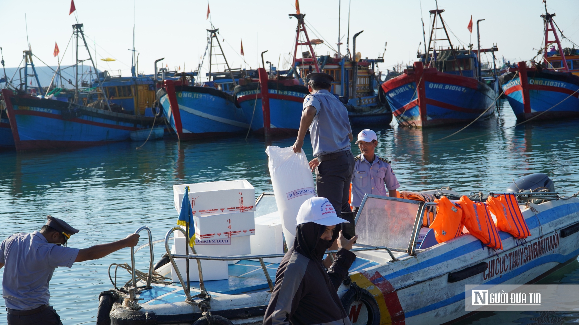 Thả 1,4 triệu con giống từ biển Hòn Cau đến hồ Tà Đùng, chung tay “hồi sinh” nguồn lợi thủy sản - Ảnh 4.