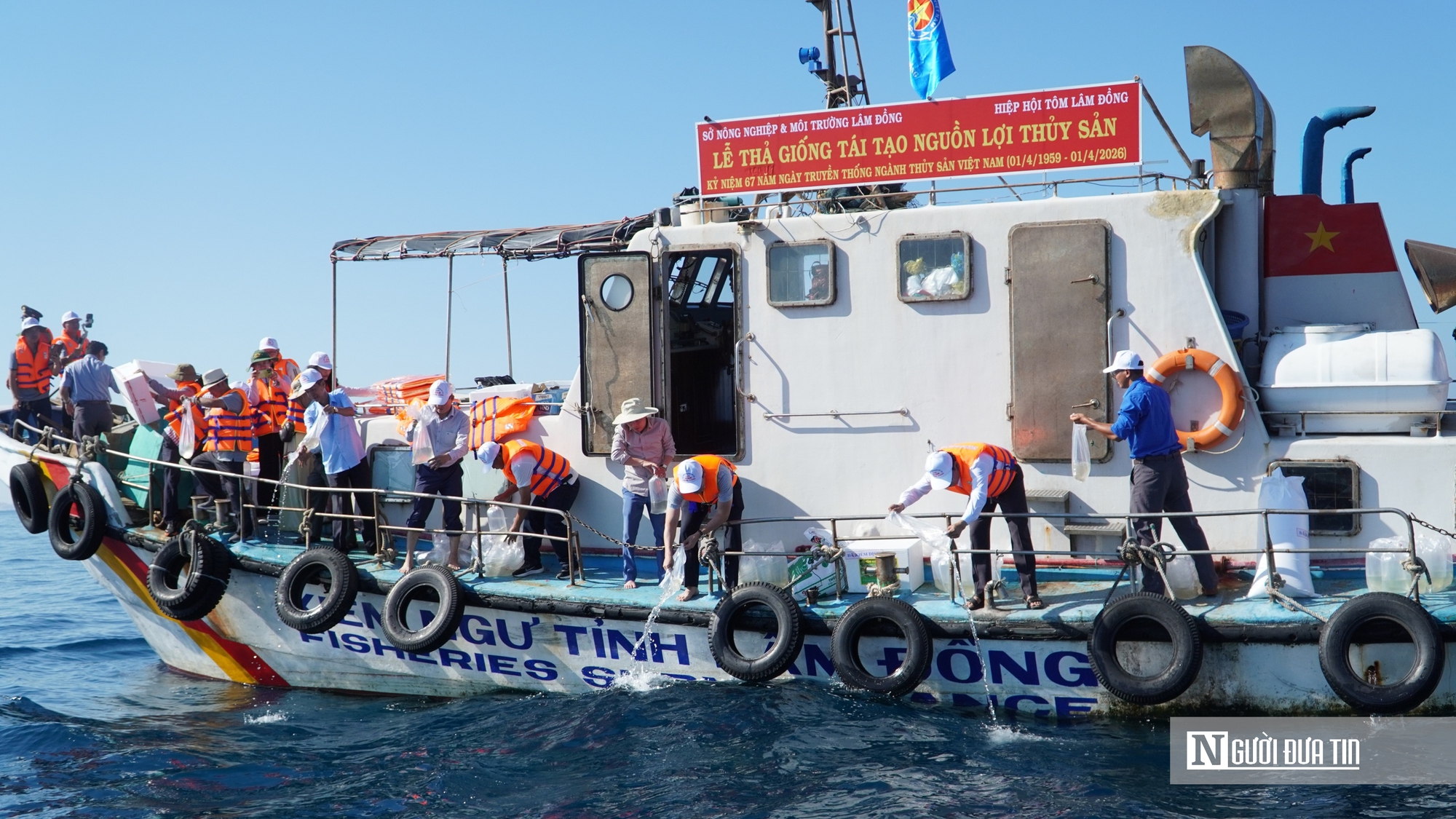 Thả 1,4 triệu con giống từ biển Hòn Cau đến hồ Tà Đùng, chung tay “hồi sinh” nguồn lợi thủy sản - Ảnh 5.