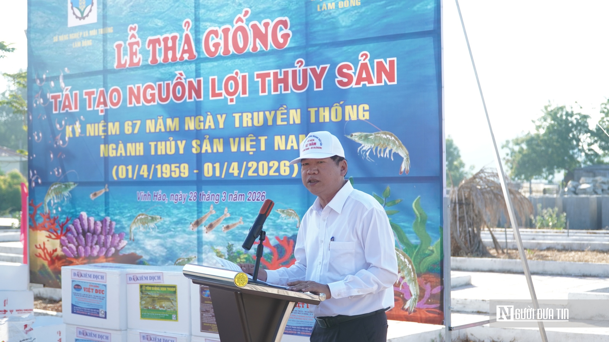 Thả 1,4 triệu con giống từ biển Hòn Cau đến hồ Tà Đùng, chung tay “hồi sinh” nguồn lợi thủy sản - Ảnh 6.
