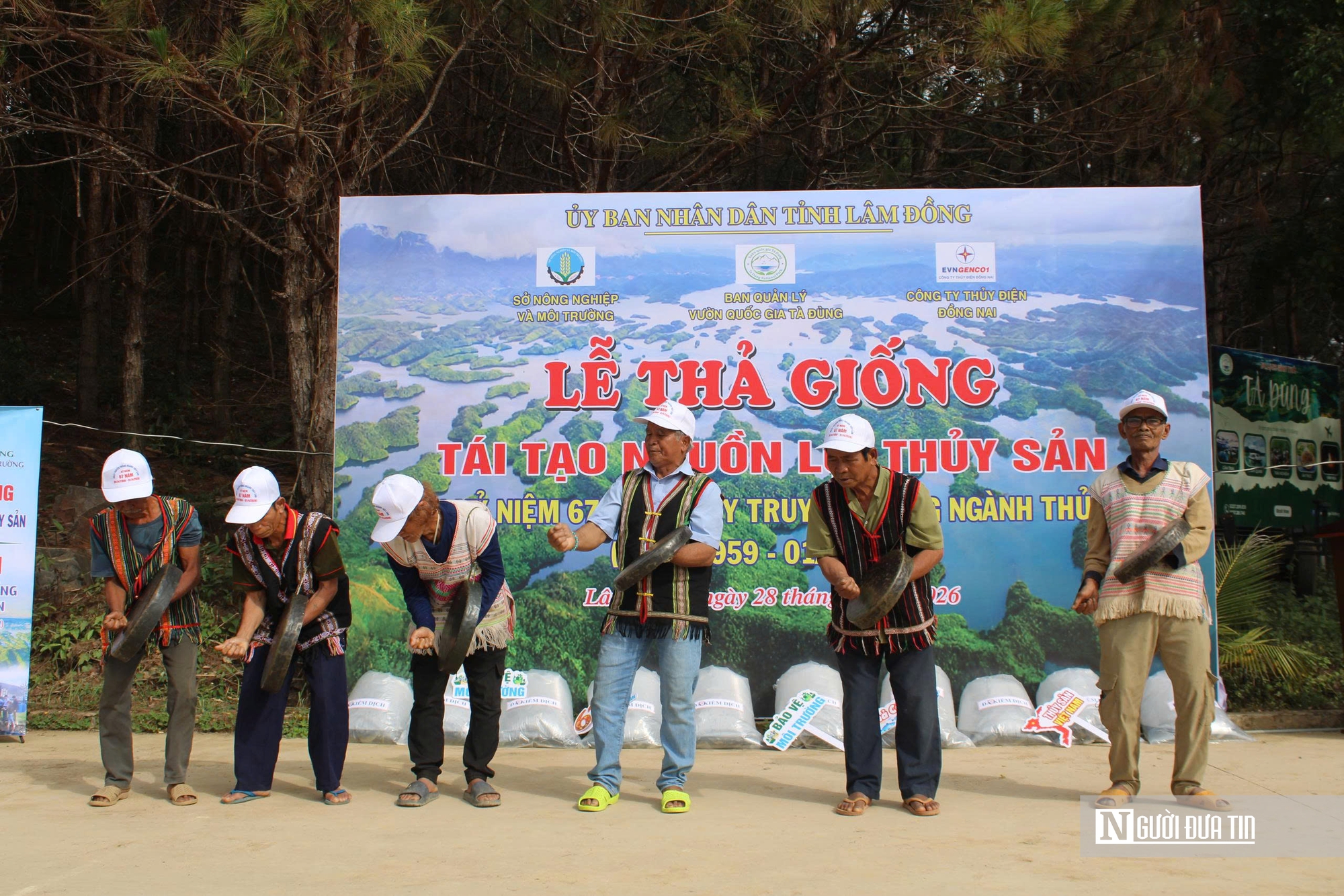 Thả 1,4 triệu con giống từ biển Hòn Cau đến hồ Tà Đùng, chung tay “hồi sinh” nguồn lợi thủy sản - Ảnh 7.